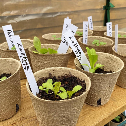 ® 60Pcs 3.1” Peat Pots with 60Pcs Plant Labels, Biodegradable Pots for Seedlings with Drainage Holes, Garden Plant Nursery Pots Seed Starting Trays