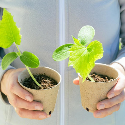 ® 60Pcs 3.1” Peat Pots with 60Pcs Plant Labels, Biodegradable Pots for Seedlings with Drainage Holes, Garden Plant Nursery Pots Seed Starting Trays